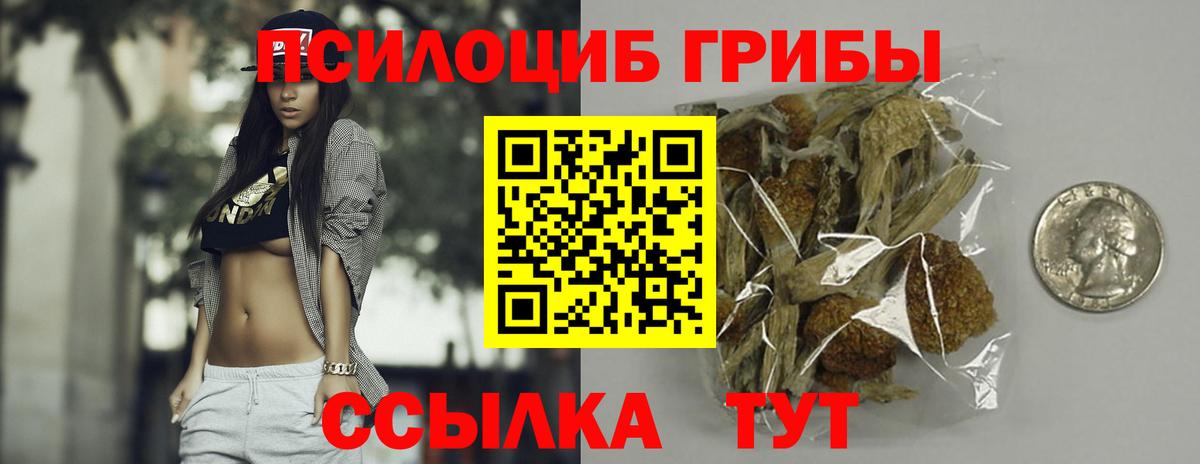 Псилоцибиновые грибы Magic Shrooms Волхов
