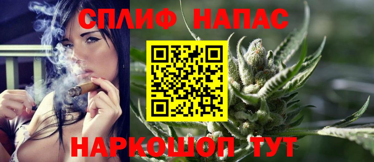 Каннабис семена Волхов